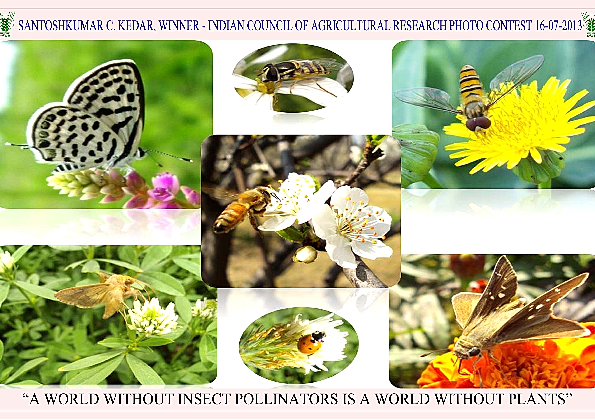 Can we survive without plants why or why not image