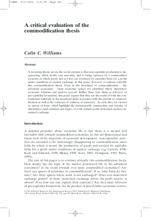 Essay on commodification 04 picture