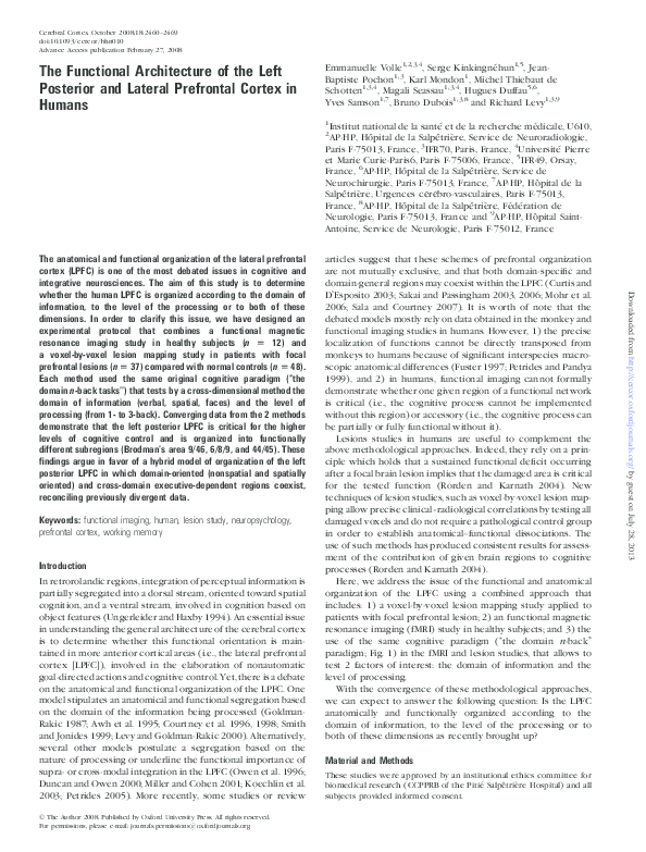 (PDF) The Functional Architecture of the Left Posterior and Lateral ...