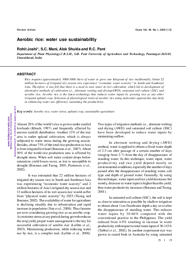 Aerobic rice thesis picture