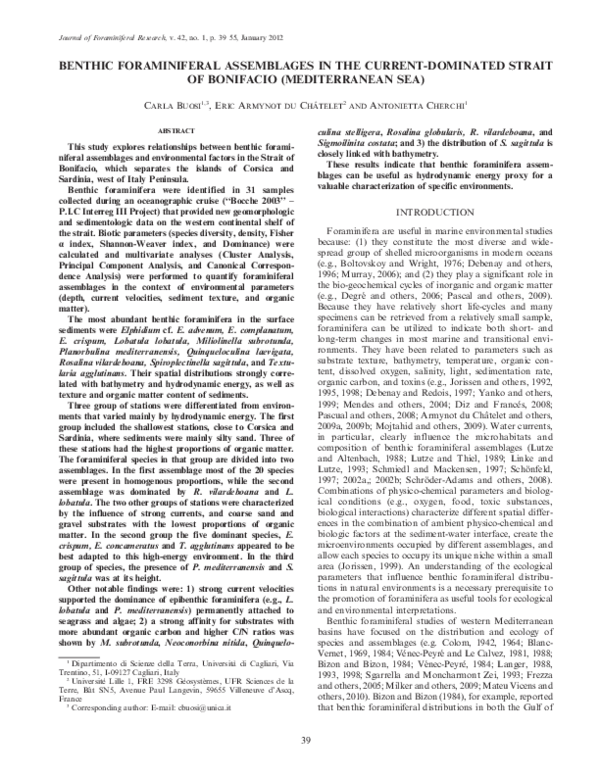 Marine micropaleontology image