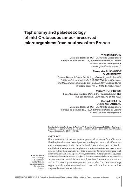 (PDF) Taphonomy and palaeoecology of mid-Cretaceous amber-preserved ...