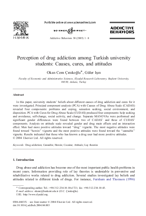 (PDF) Perception of drug addiction among Turkish university students ...