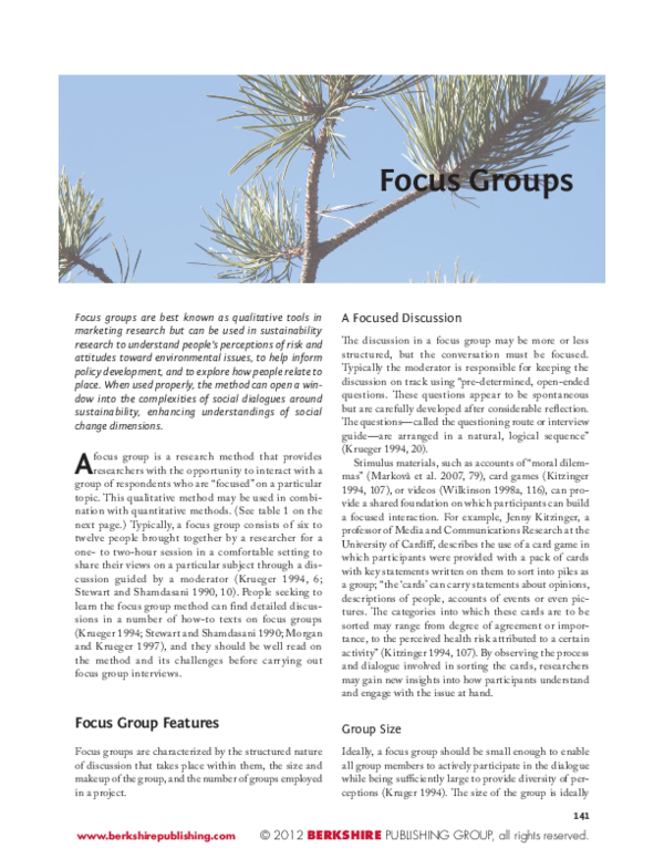 (PDF) Focus Groups