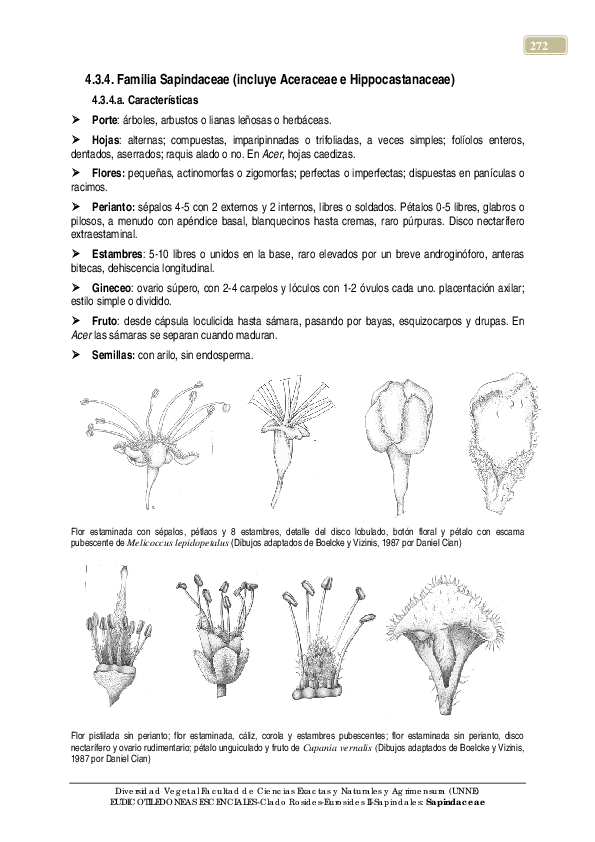 Diversidad Vegetal Facultad de Ciencias Exactas y Naturales y