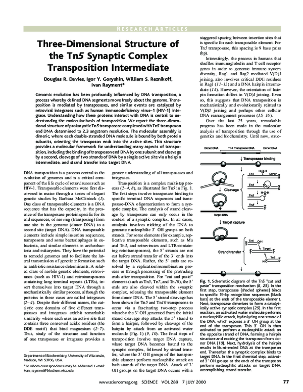 (PDF) Three-Dimensional Structure of the Tn5 Synaptic Complex ...