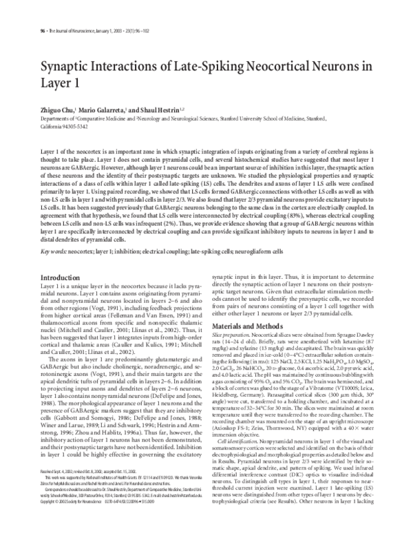 (PDF) Synaptic Interactions of Late-Spiking Neocortical Neurons in Layer 1