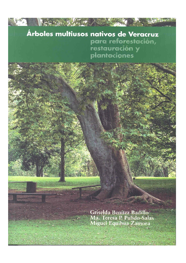 (PDF) Arboles Nativos de Veracruz para Reforestación, Restauración y