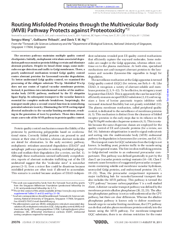 (PDF) Routing misfolded proteins through the multivesicular body (MVB ...
