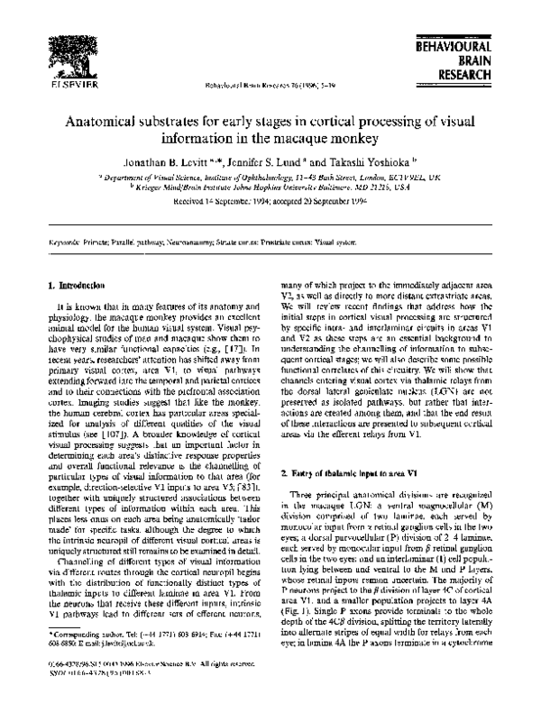 (PDF) Anatomical substrates for early stages in cortical processing of ...