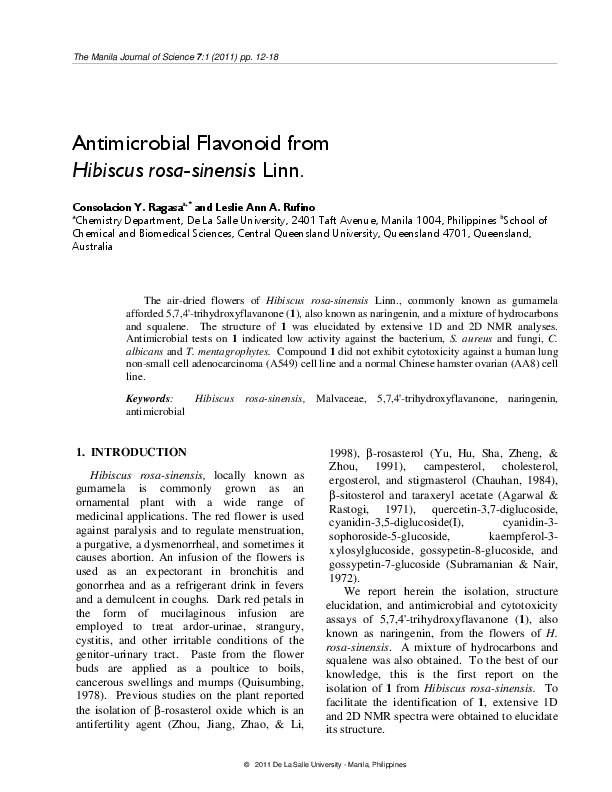 Hibiscus in a sentence image