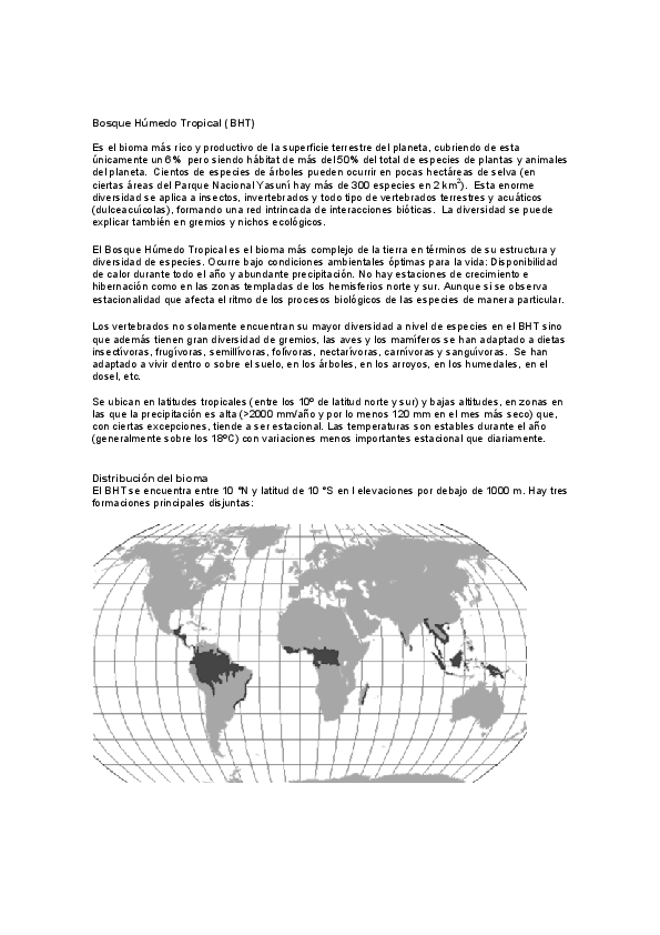 Bosque lluvioso essay picture
