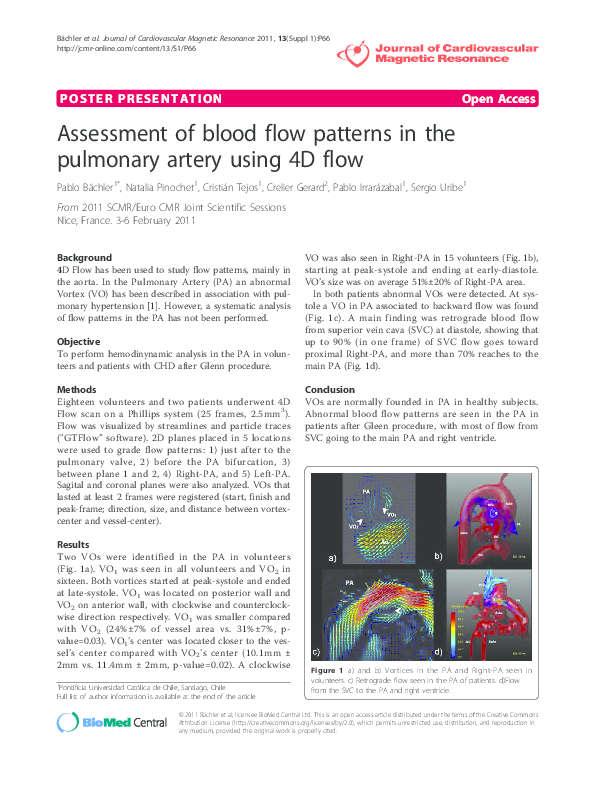 (PDF) Assessment of blood flow patterns in the pulmonary artery using ...