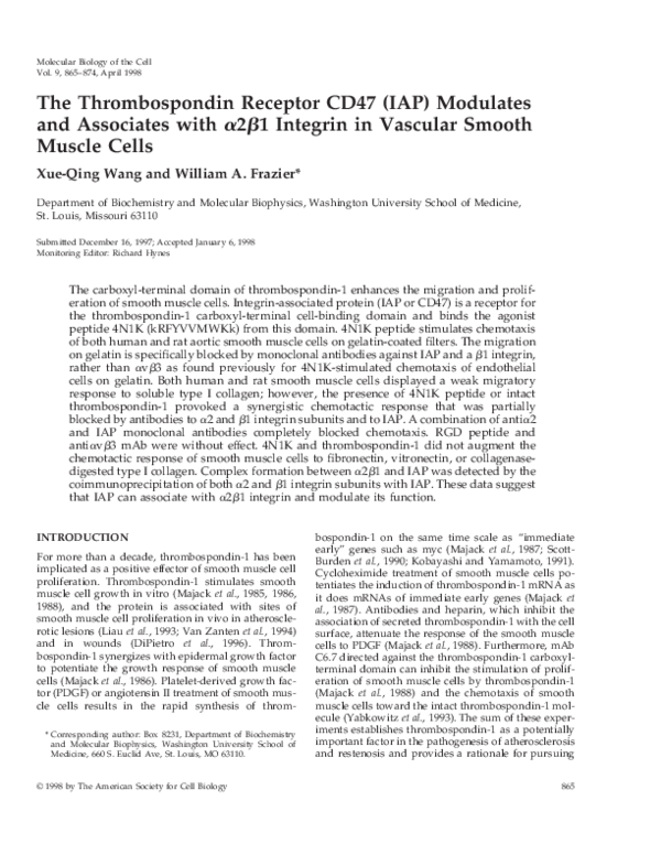 (PDF) The Thrombospondin Receptor CD47 (IAP) Modulates and Associates ...