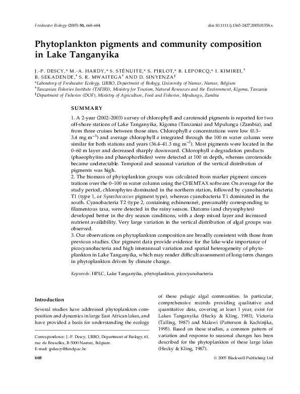 Ismael essays 08 picture