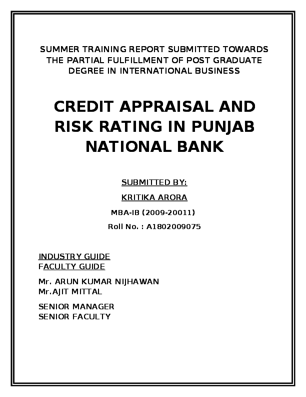 Pnb appraisal essay image