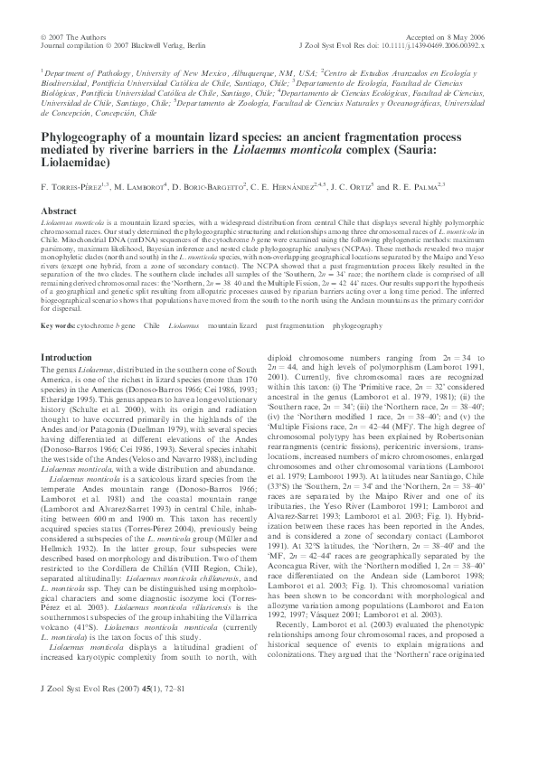 (PDF) Phylogeography of a mountain lizard species: an ancient ...