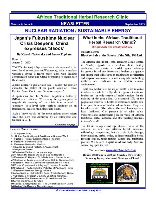 Essay on nuclear reactor picture