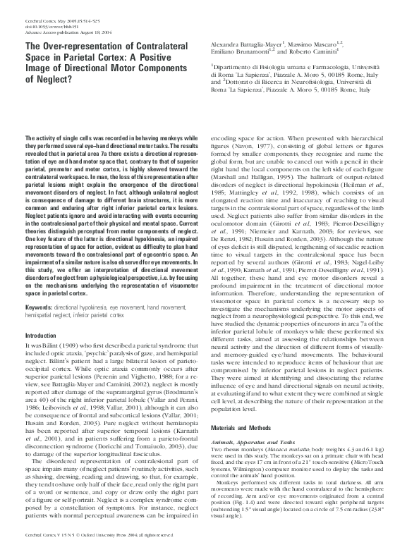 (PDF) The Over-representation of Contralateral Space in Parietal Cortex ...