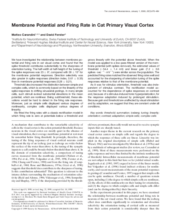 (PDF) Membrane Potential and Firing Rate in Cat Primary Visual Cortex