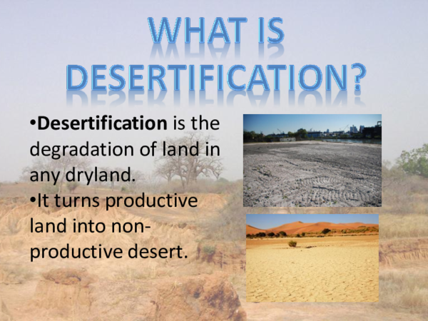 Ppt Geography Land Pollution Haziyah Halim Academia Edu