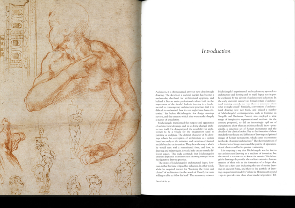 Michelangelo essay introduction picture