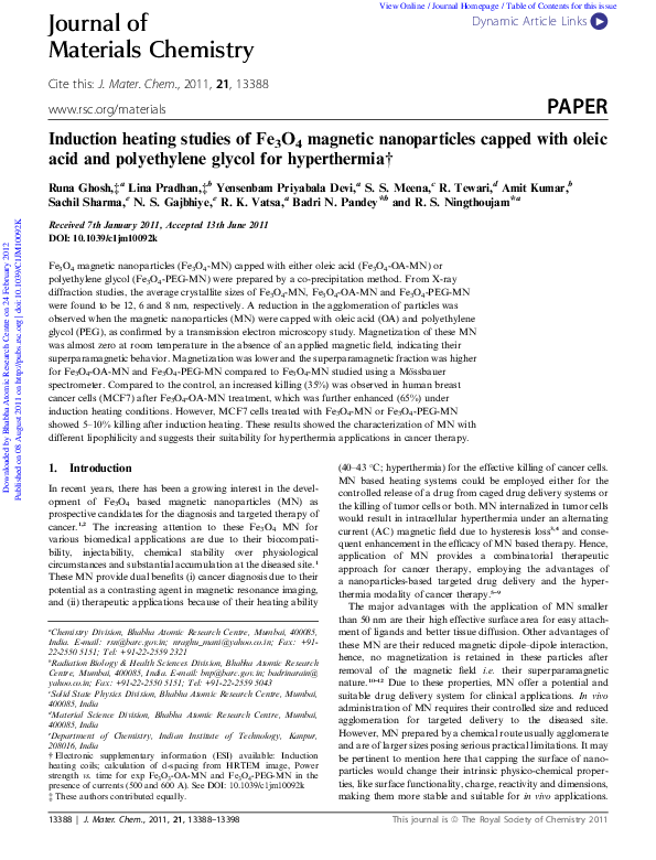 (PDF) Induction heating studies of Fe3O4 magnetic nanoparticles capped ...