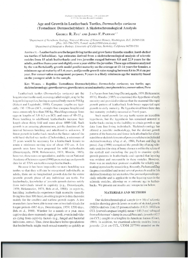 10 facts about turtles picture