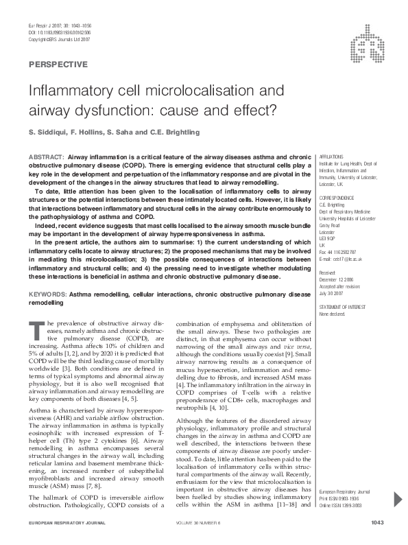 Our dysfunctional haverworld essay 08 picture