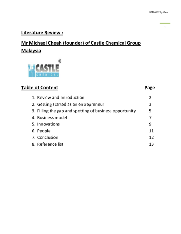 (DOC) Literature Review-Michael of Castle Chemical Group