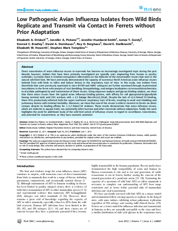 (PDF) Low Pathogenic Avian Influenza Isolates from Wild Birds Replicate ...