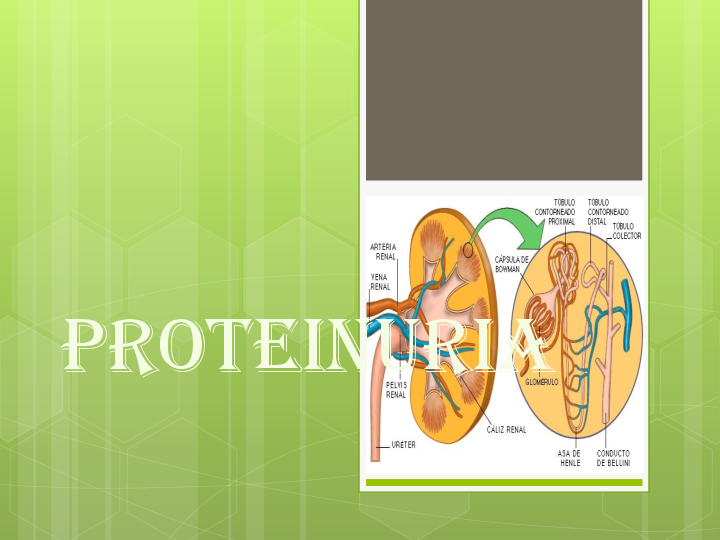 (PPT) PROTEINURIA