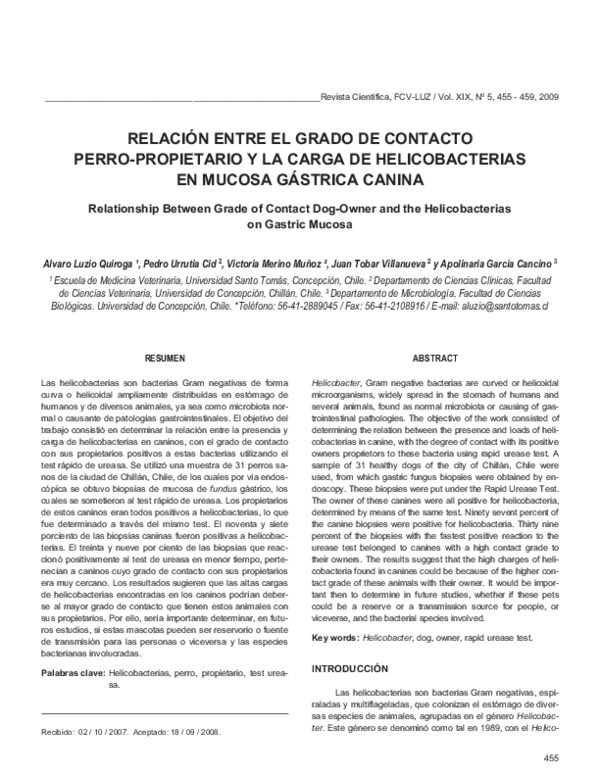 (PDF) RELACIÓN ENTRE EL GRADO DE CONTACTO PERROPROPIETARIO Y LA CARGA