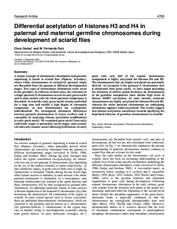 (PDF) Differential acetylation of histones H3 and H4 in paternal and ...