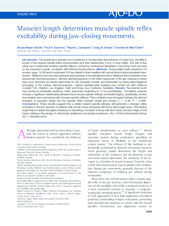 Role of muscle spindle fiber image