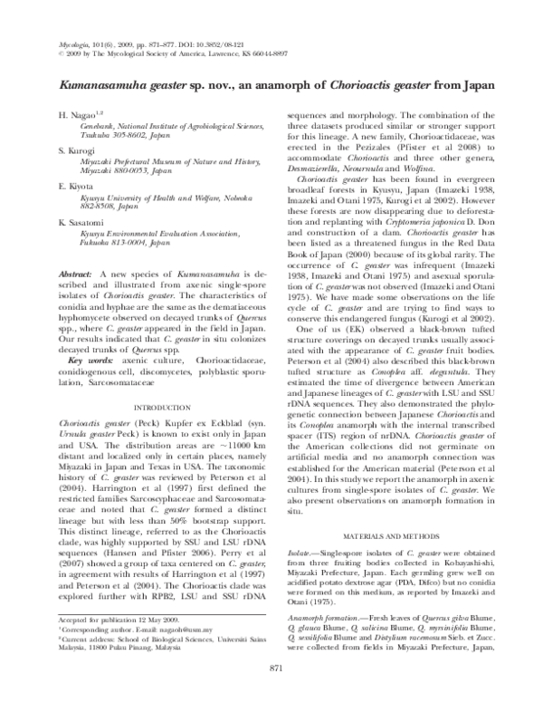 Pdf Kumanasamuha Geaster Sp Nov An Anamorph Of Chorioactis Geaster From Japan Hideyuki Nagao Academia Edu