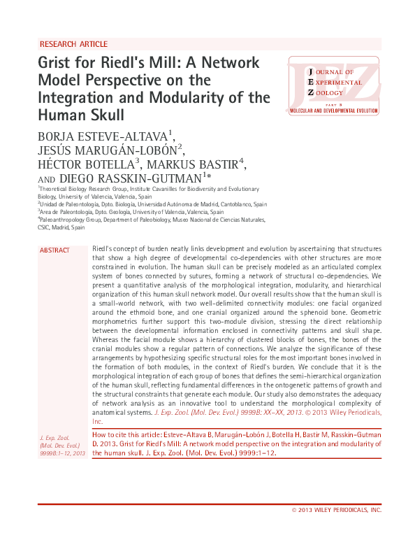 (PDF) Grist for Riedl's Mill: A Network Model Perspective on the ...