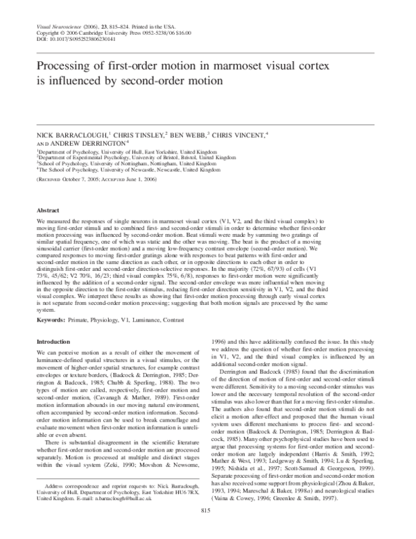 (PDF) Processing of first-order motion in marmoset visual cortex is ...