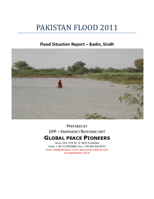 Scene of a flood essay image