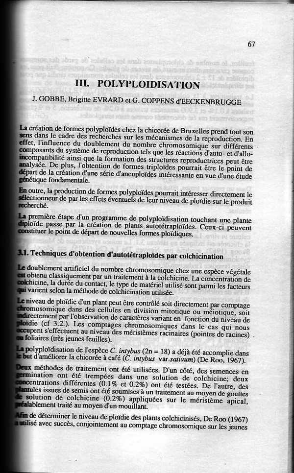 Polyploïdisation. In: Mécanismes de la reproduction chez la chicorée de ...