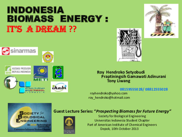 Prospecting Indonesia Biomass for Future Energy