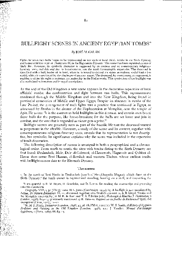 Bullfighting in spain image