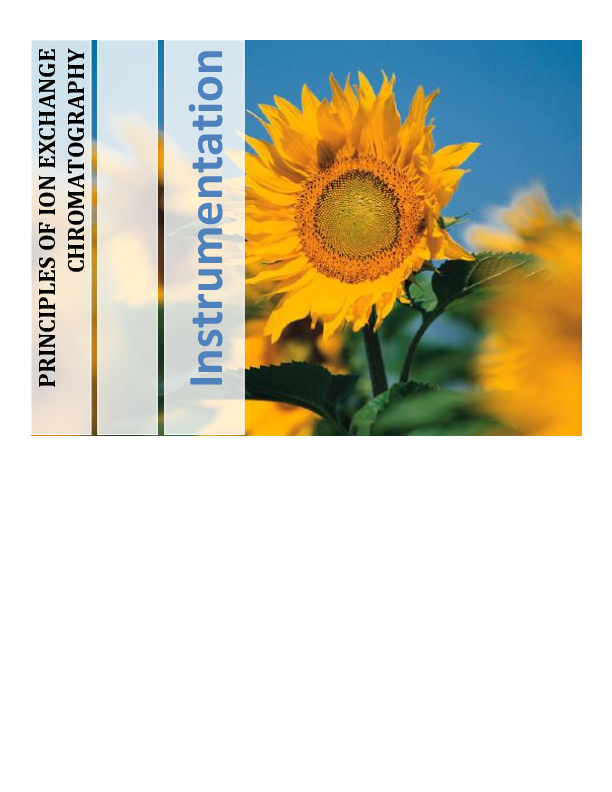 (PDF) Principles of Ion exchange chromatography wahab usaid