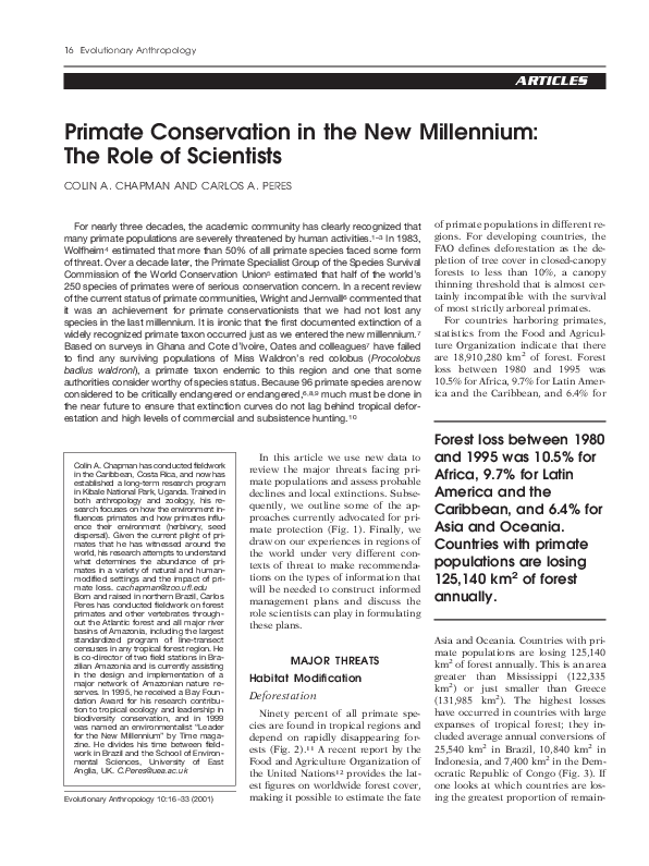 Primate essays 06 image