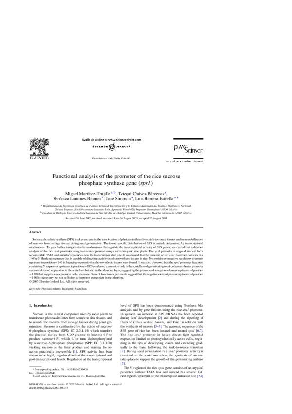 (PDF) Functional analysis of the promoter of the rice sucrose phosphate ...
