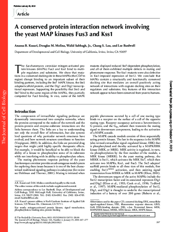 (PDF) A conserved protein interaction network involving the yeast MAP ...