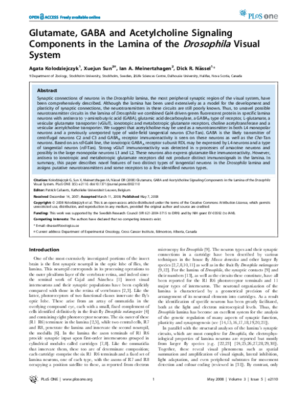 (PDF) Activity-Independent Prespecification of Synaptic Partners in the ...