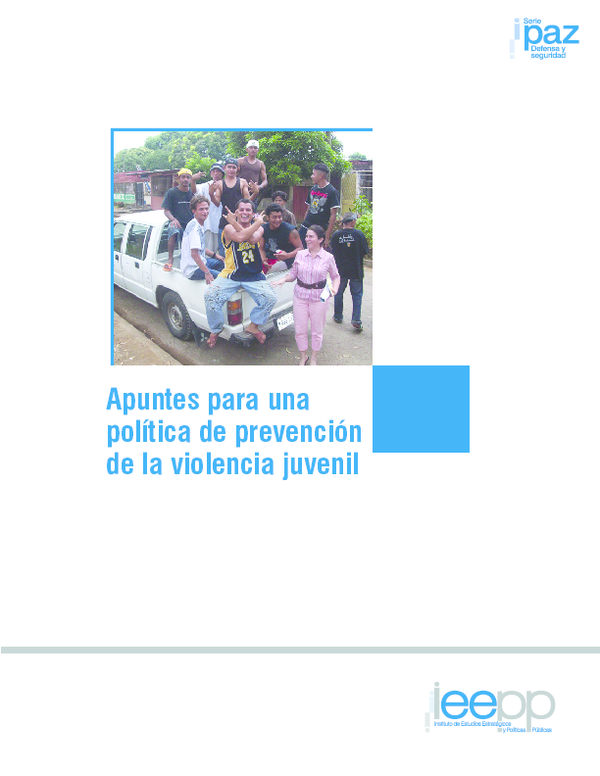 (PDF) Apuntes para una política de prevención de la violencia juvenil