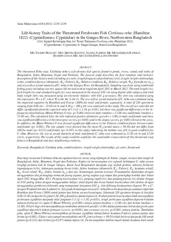 Characteristics of malcolm rivers essay image