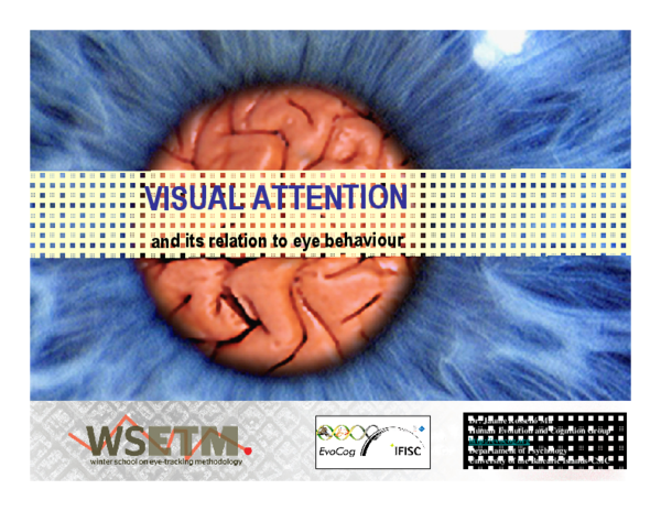 (PDF) Visual attention and eye behaviour